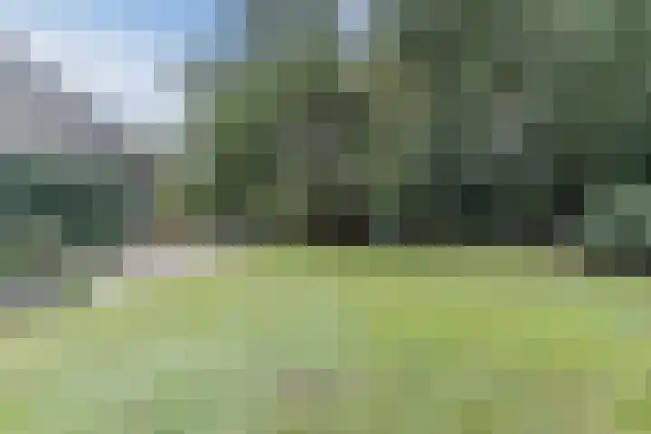 Molenschotsedijk 3 Gilze thumbnail 26