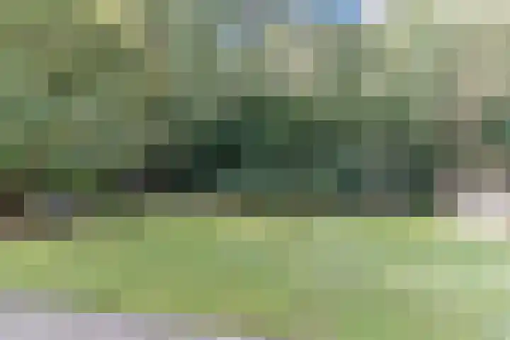 Molenschotsedijk 3 Gilze thumbnail 27