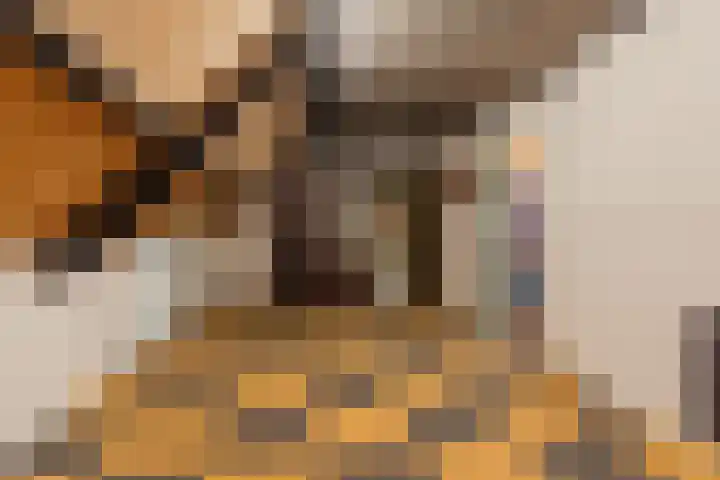 Molenschotsedijk 3 Gilze thumbnail 31