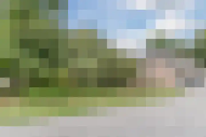 Molenschotsedijk 3 Gilze thumbnail 46
