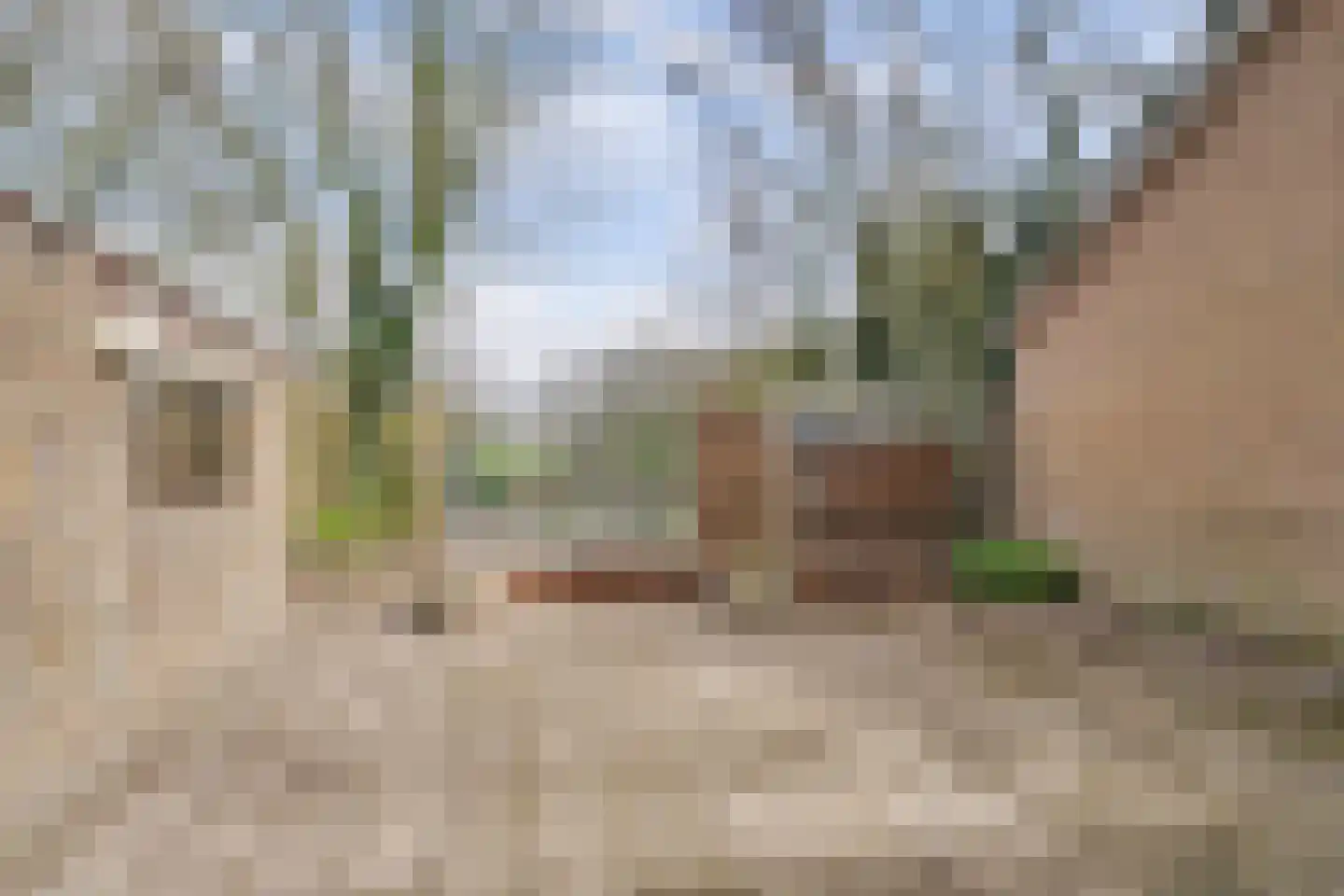 Molenschotsedijk 4 Gilze thumbnail 30
