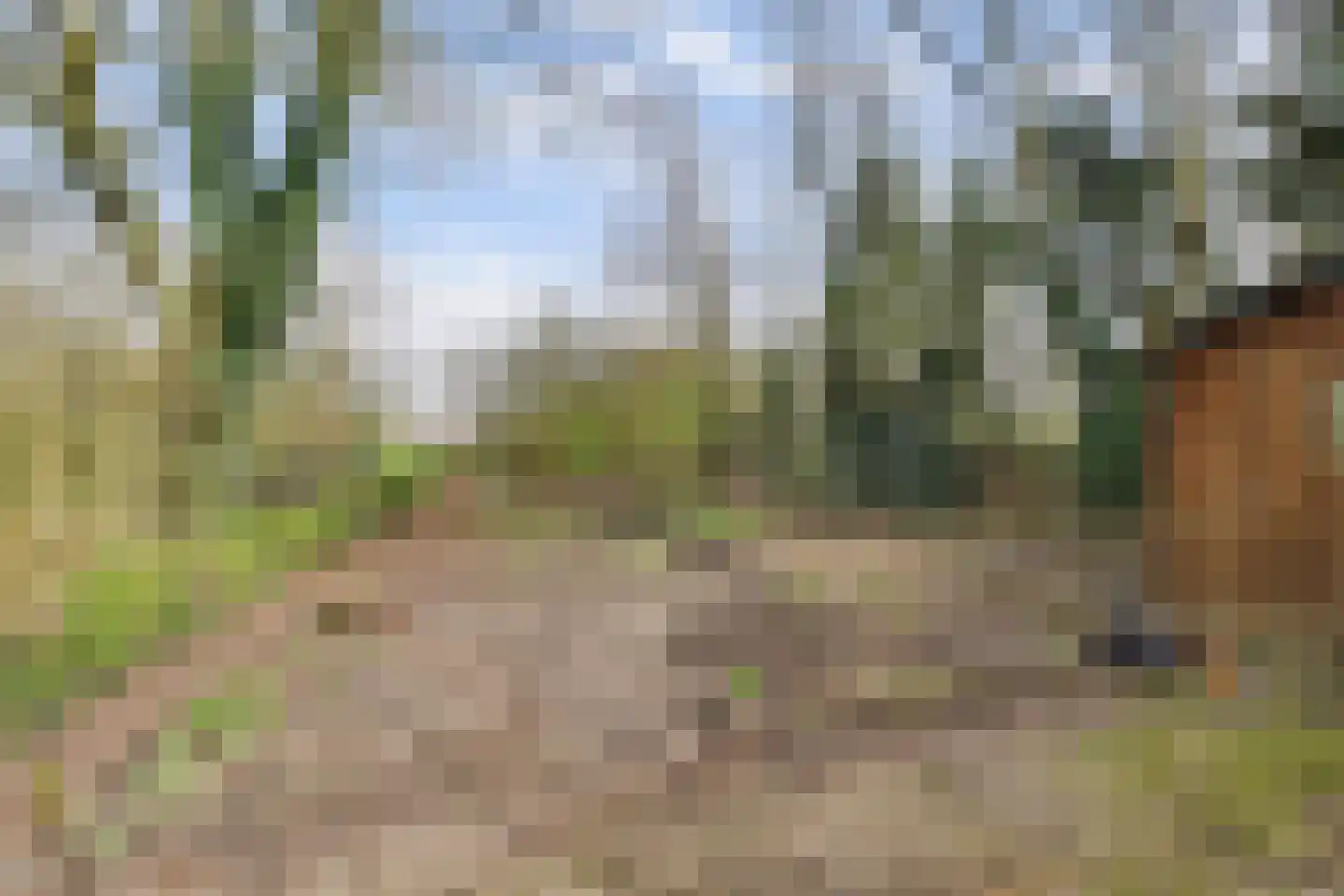 Molenschotsedijk 4 Gilze thumbnail 32