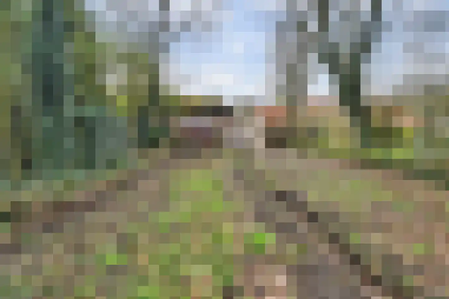 Molenschotsedijk 4 Gilze thumbnail 33