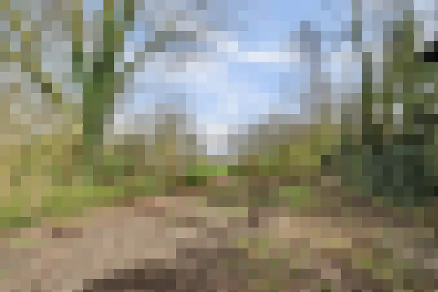 Molenschotsedijk 4 Gilze thumbnail 34