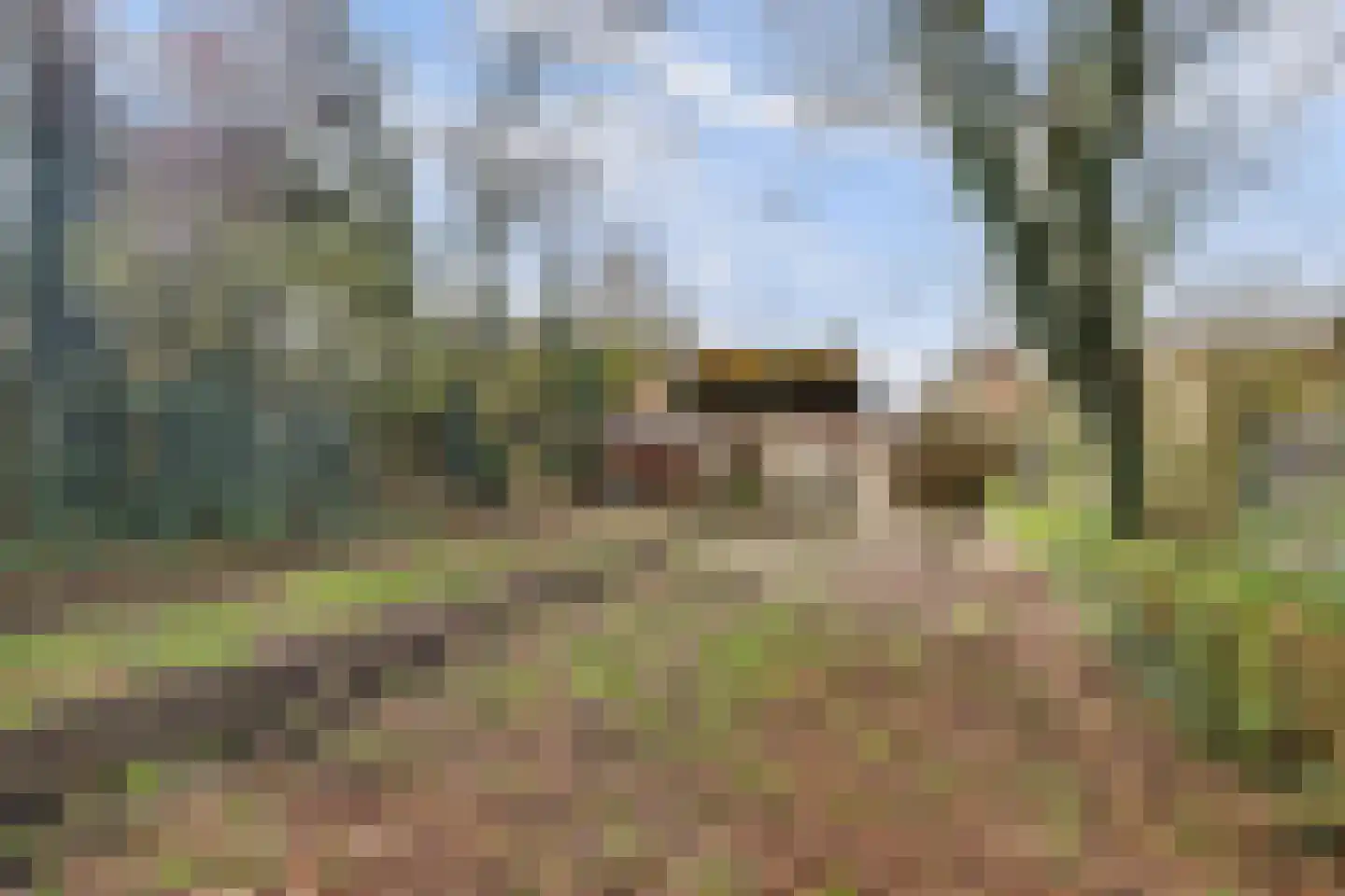 Molenschotsedijk 4 Gilze thumbnail 35
