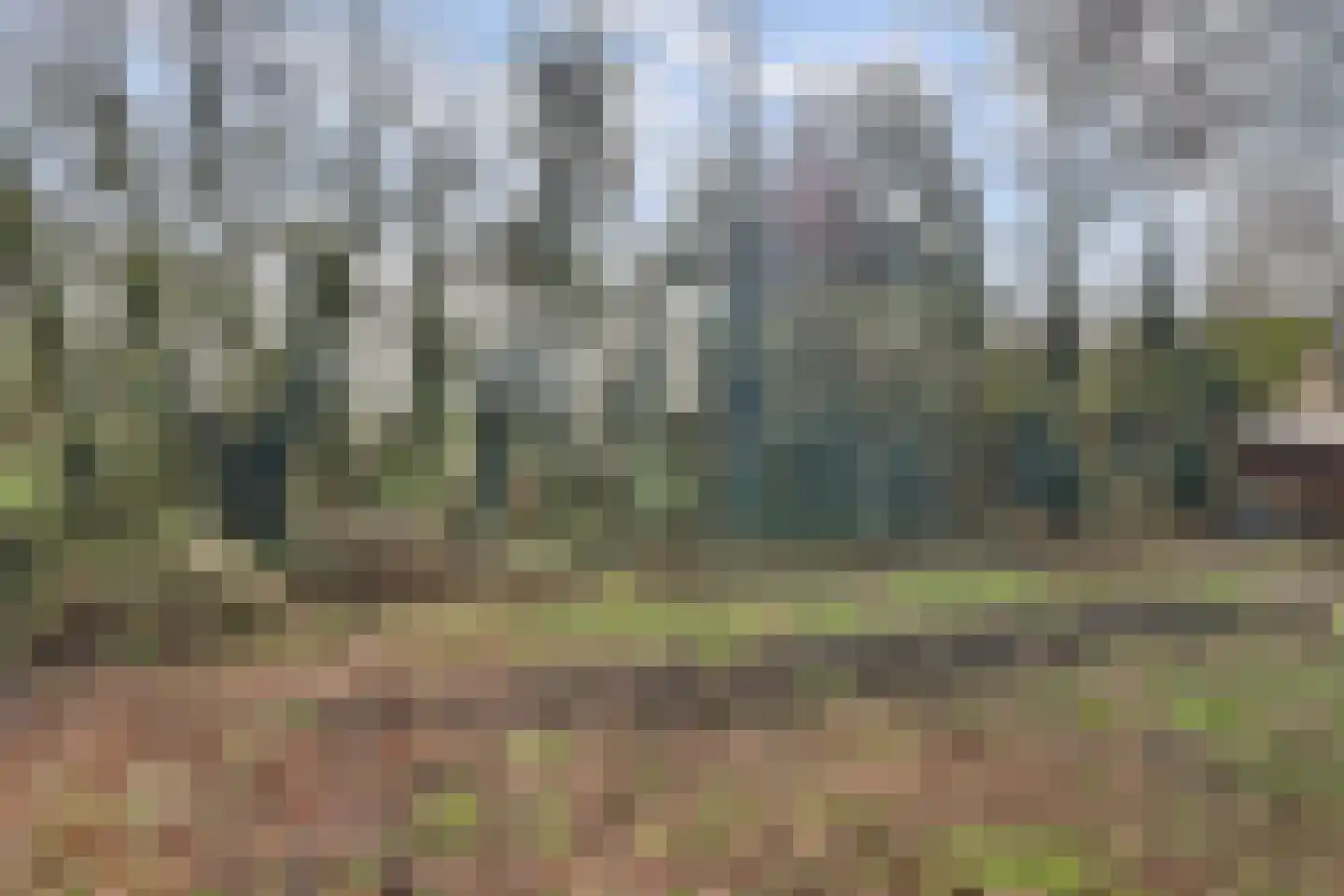 Molenschotsedijk 4 Gilze thumbnail 36