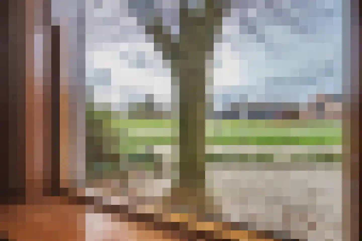 Molenschotsedijk 4 Gilze thumbnail 5