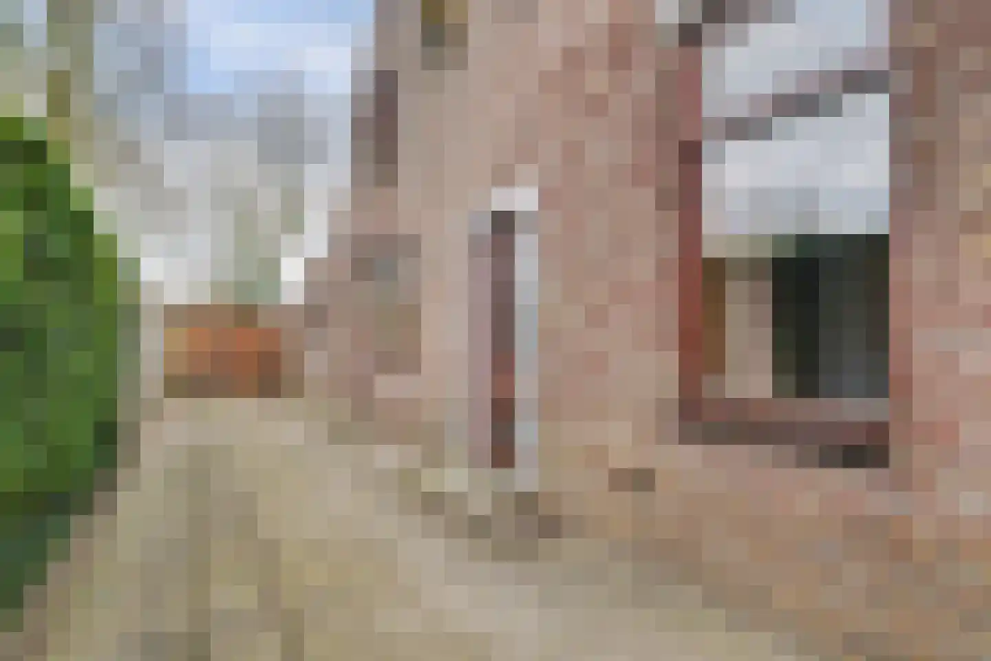 Molenschotsedijk 4 Gilze thumbnail 7