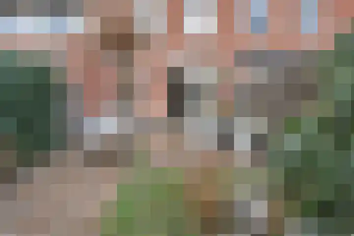 Molensingel 10 Delft thumbnail 15