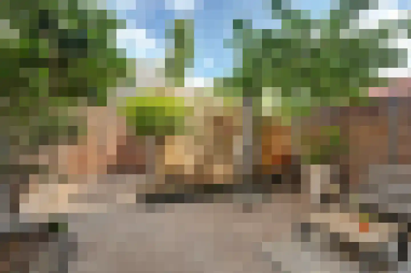 Molensingel 12 Venlo thumbnail 25