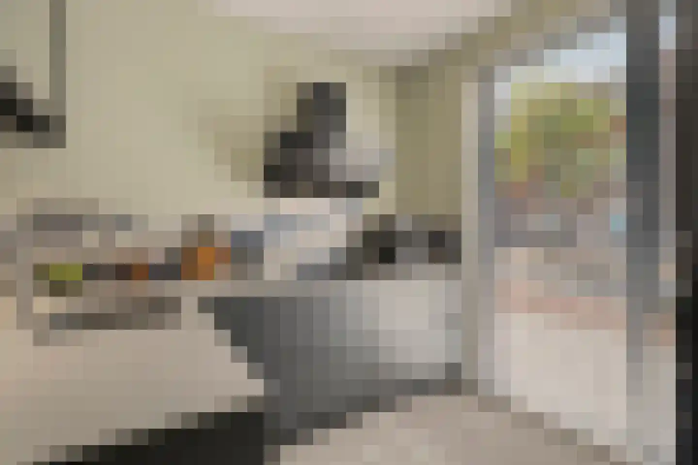 Molensingel 12 Venlo thumbnail 7