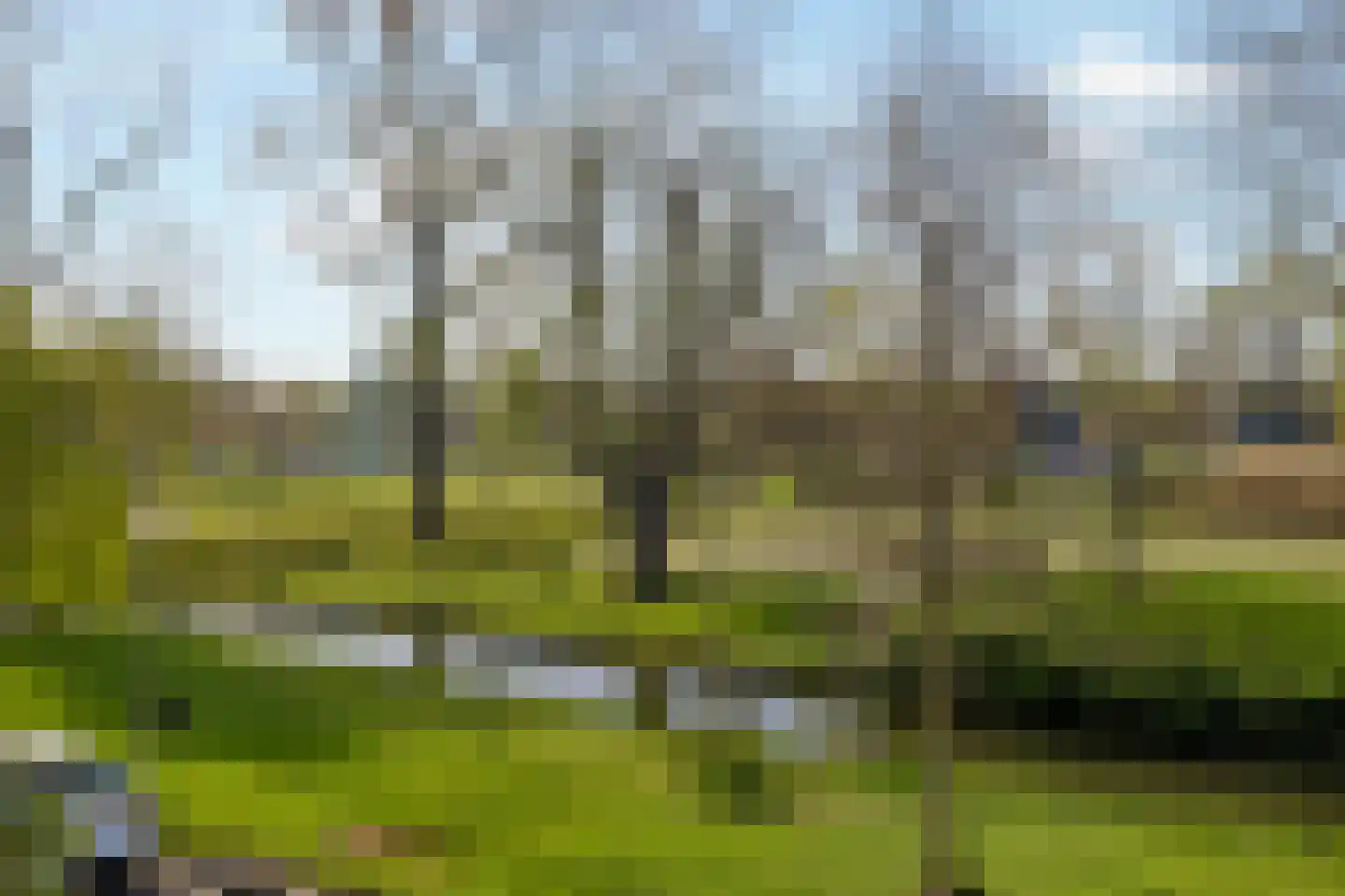 Molensingel 125 Schiedam thumbnail 24