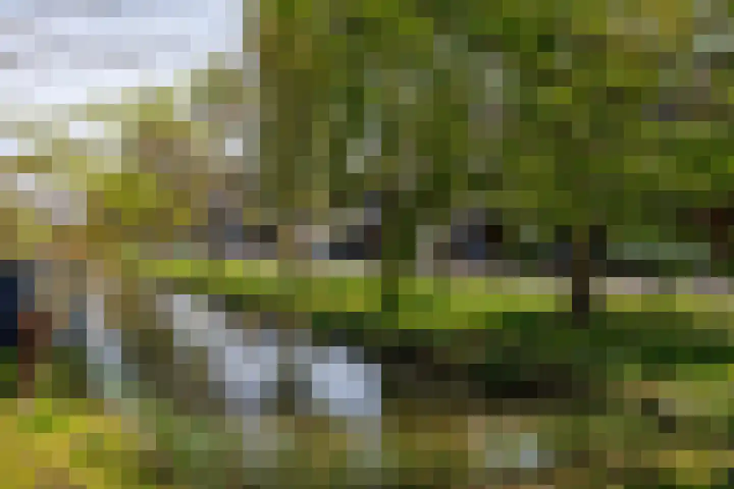 Molensingel 135 Delft thumbnail 59