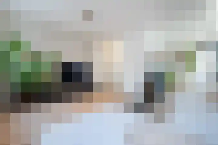 Molensingel 14 Venlo thumbnail 15