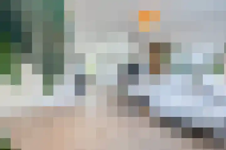 Molensingel 14 Venlo thumbnail 17