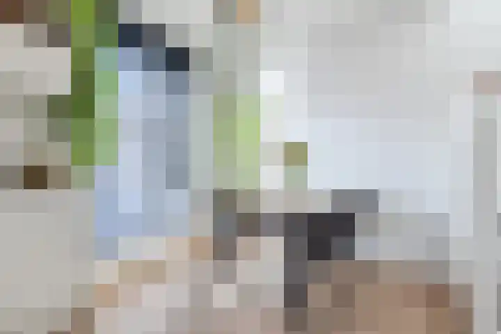 Molensingel 14 Venlo thumbnail 19