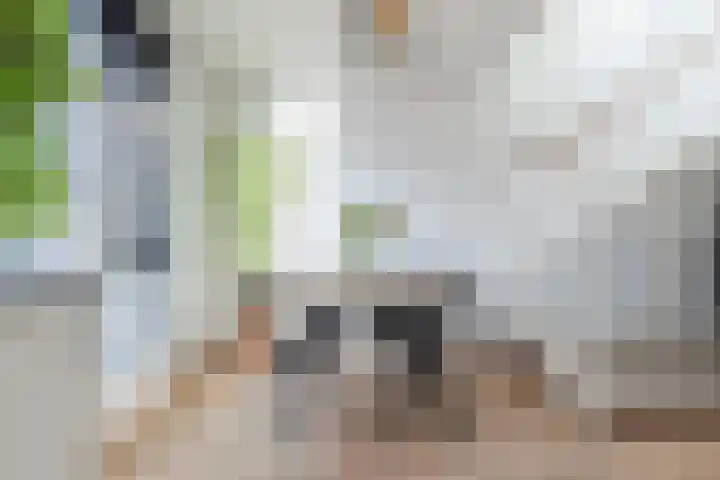 Molensingel 14 Venlo thumbnail 20