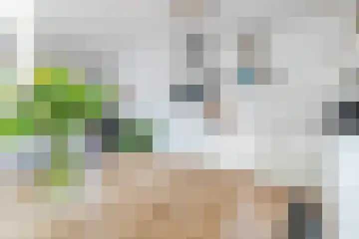 Molensingel 14 Venlo thumbnail 23
