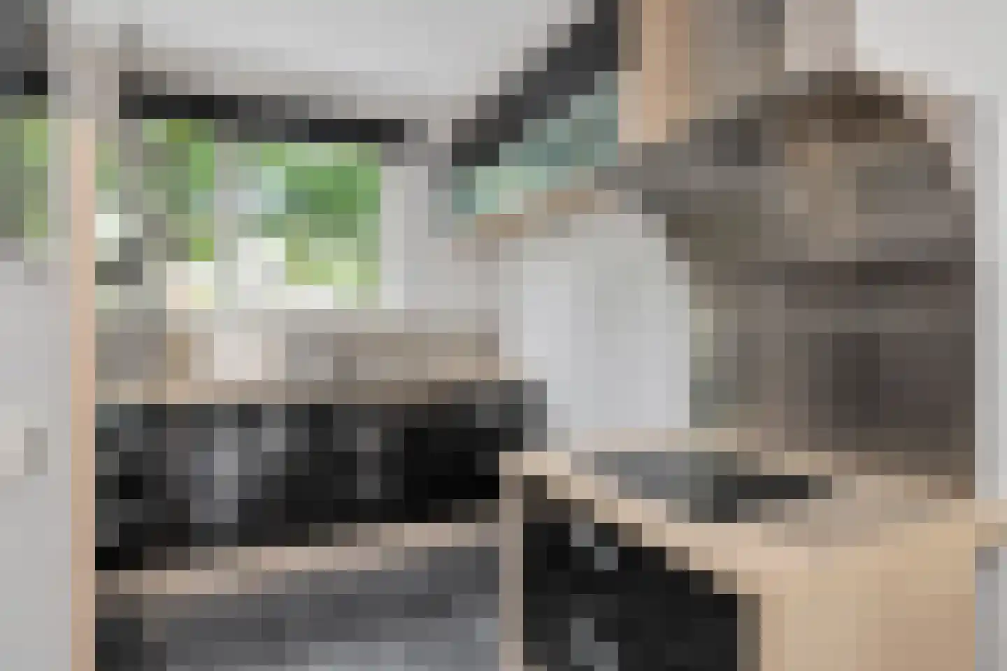 Molensingel 18 Wieringerwaard thumbnail 13