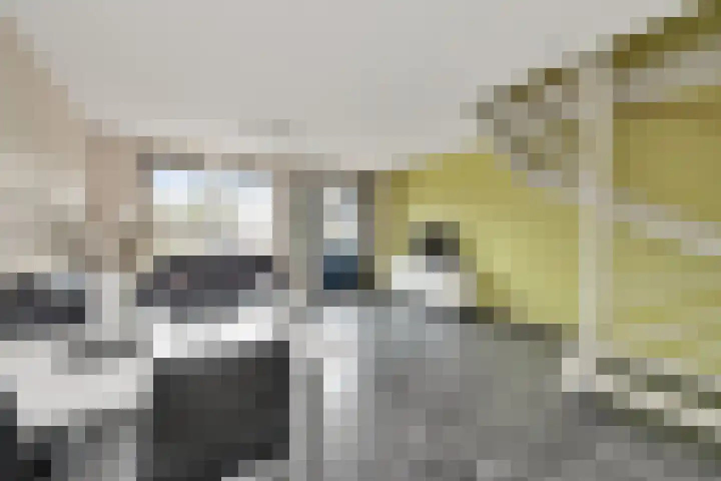Molensingel 18 Wieringerwaard thumbnail 9
