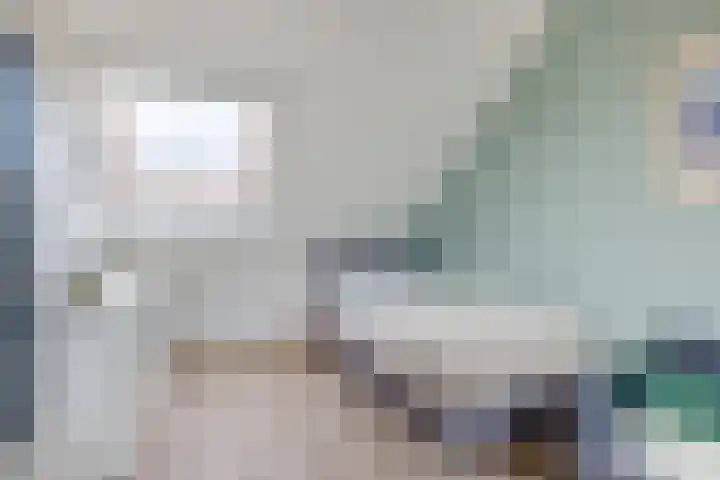 Molensingel 19 dans Wouw