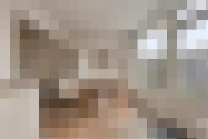 Molensingel 19 Wouw thumbnail 11