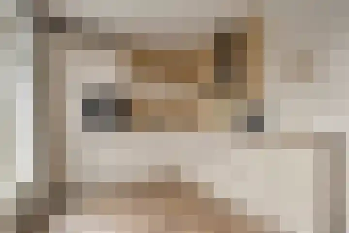 Molensingel 19 Wouw thumbnail 12