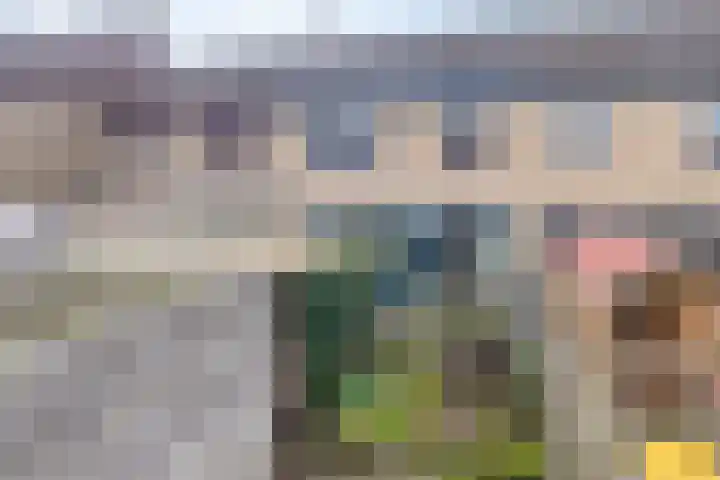 Molensingel 19 Wouw thumbnail 35