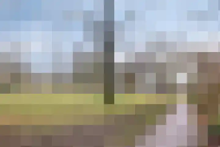 Molensingel 19 Wouw thumbnail 45