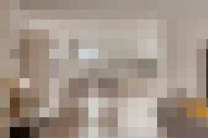 Molensingel 19 Wouw thumbnail 8