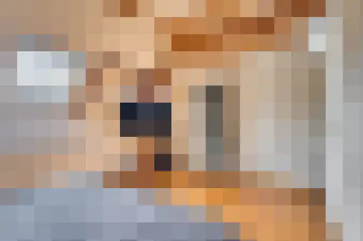 Molensingel 2 Venlo thumbnail 33