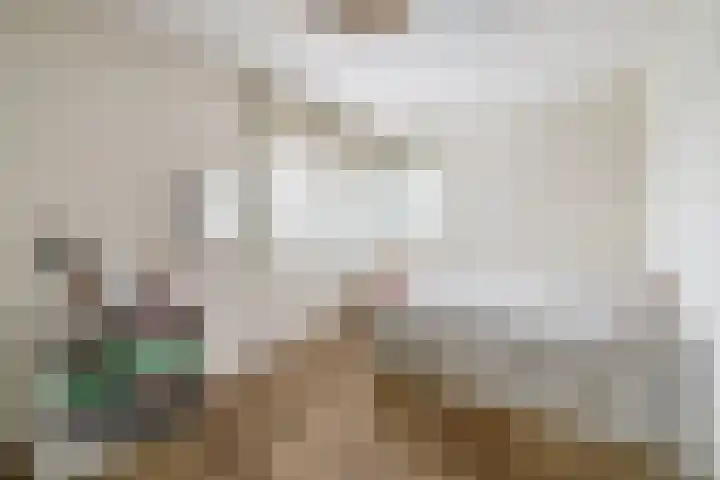 Molensingel 25 Wieringerwaard thumbnail 16