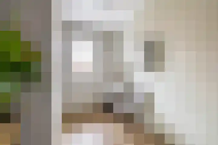 Molensingel 25 Wieringerwaard thumbnail 22