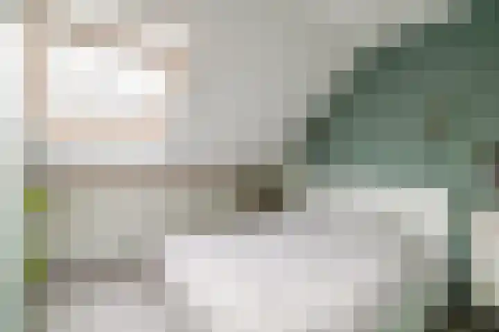 Molensingel 25 Wieringerwaard thumbnail 25