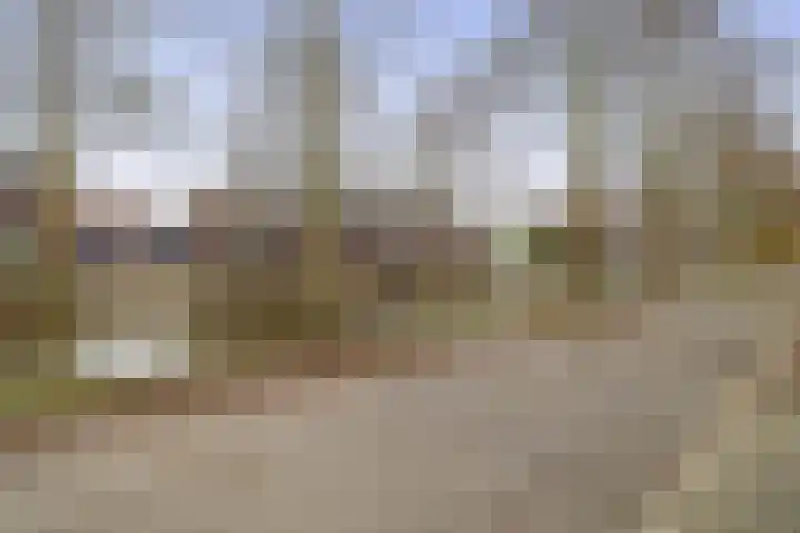 Molensingel 25 Wieringerwaard thumbnail 29