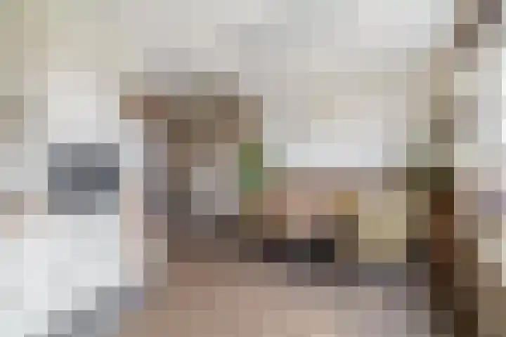 Molensingel 25 Wieringerwaard thumbnail 9