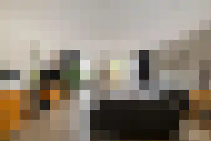 Molensingel 27 Wieringerwaard thumbnail 10