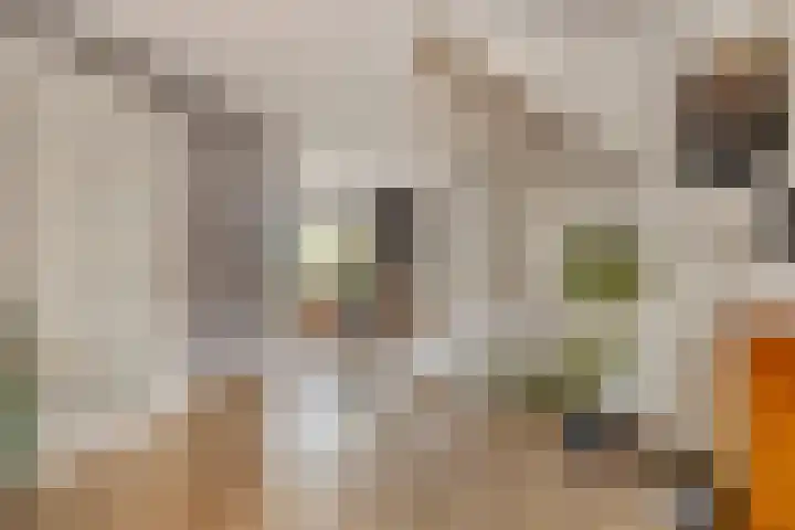Molensingel 27 Wieringerwaard thumbnail 13