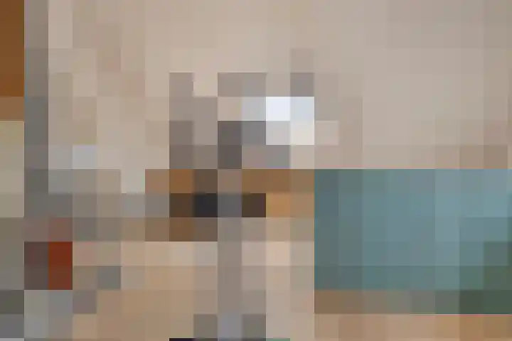 Molensingel 27 Wieringerwaard thumbnail 28