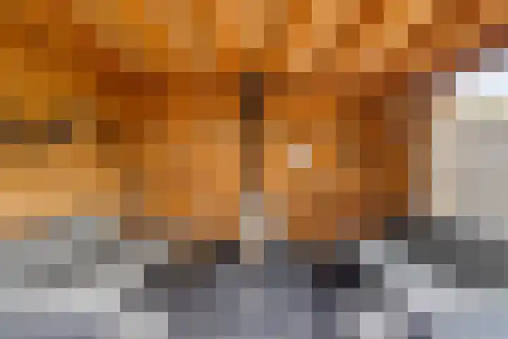 Molensingel 27 Wieringerwaard thumbnail 32