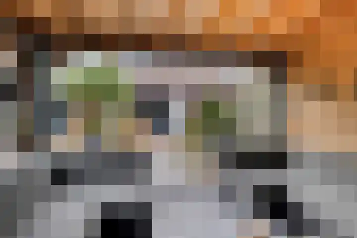 Molensingel 27 Wieringerwaard thumbnail 33