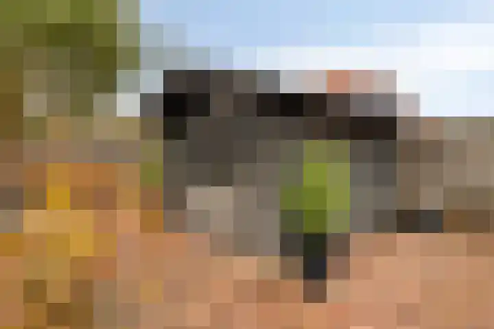 Molensingel 27 Wieringerwaard thumbnail 34