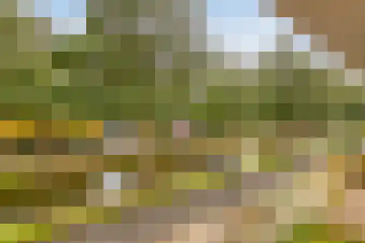 Molensingel 27 Wieringerwaard thumbnail 37