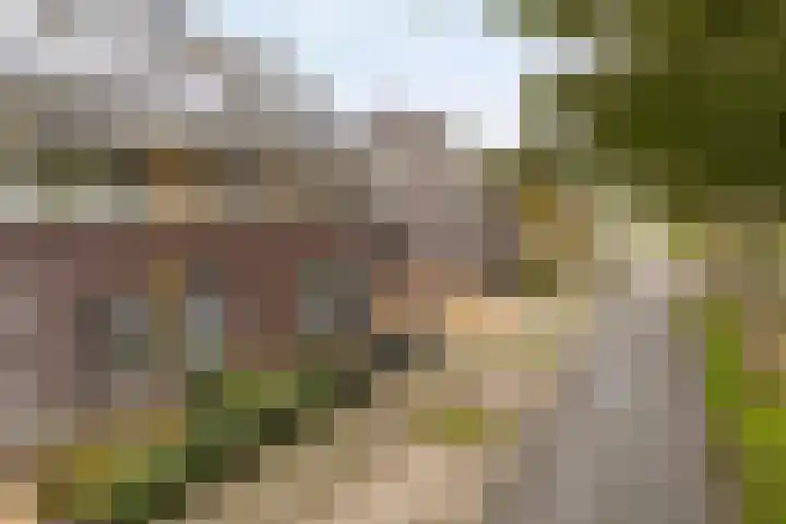 Molensingel 27 Wieringerwaard thumbnail 39