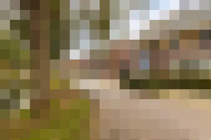 Molensingel 27 Wieringerwaard thumbnail 4