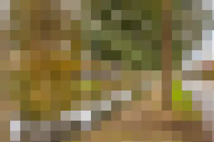 Molensingel 27 Wieringerwaard thumbnail 42
