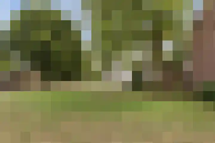 Molensingel 27 Wieringerwaard thumbnail 49