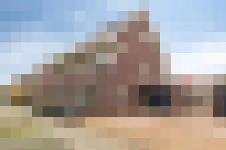 Molensingel 27 Wieringerwaard thumbnail 50