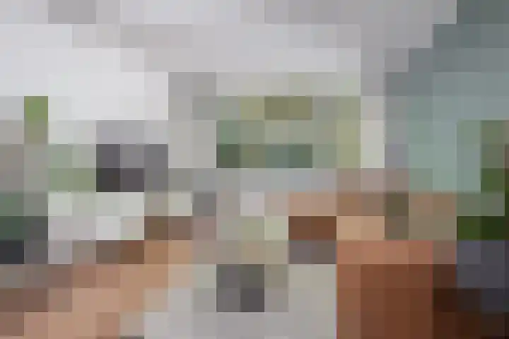 Molensingel 32 Bovenkarspel thumbnail 10