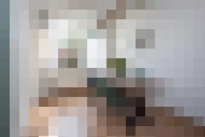 Molensingel 32 Bovenkarspel thumbnail 12